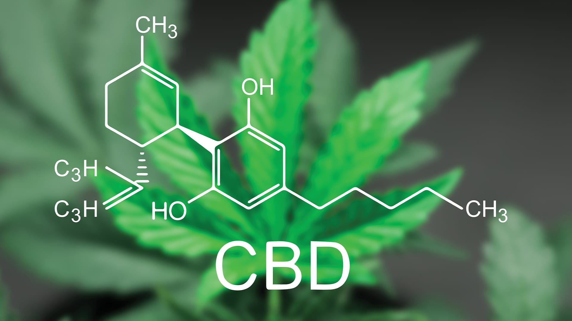 What is CBD Oil and just how CBD Functions?