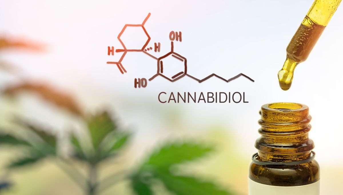 Discover how positive a Cbd flower (Fleur de cbd) can be so you can try it now